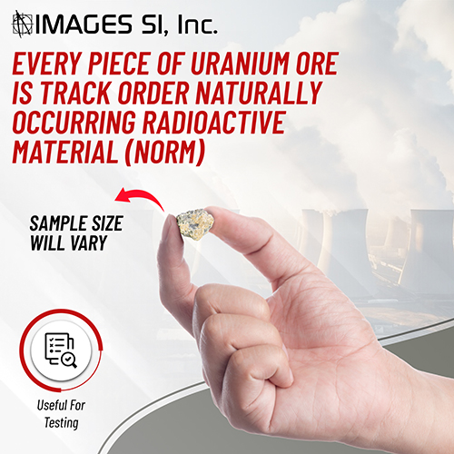 UR-01 Infographic 2