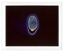 Kirlian Photograph of a fingerprint by Jeremy Shaw